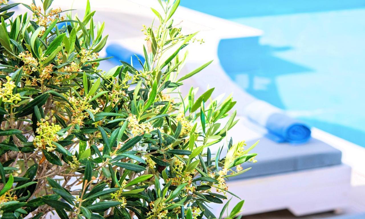 Elounda Garden Suites Heated Pool Exteriör bild